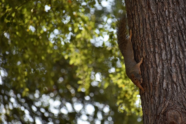 利用策略升 利用策略升