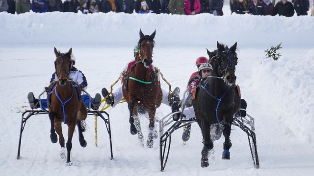 更让哈利伯 更让哈利伯