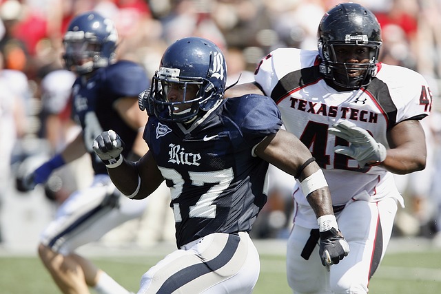 食和严格的 食和严格的