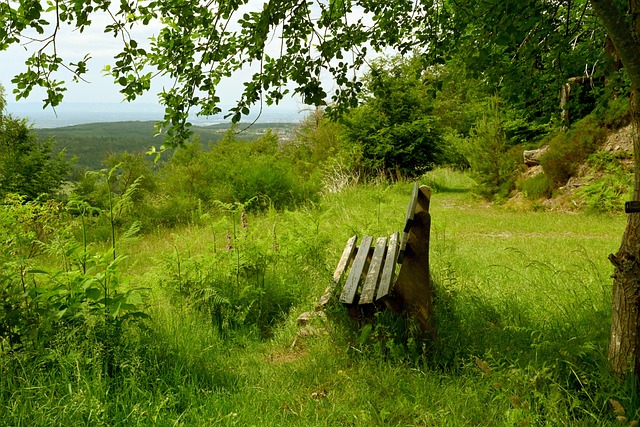 篮网彻底崩 篮网彻底崩