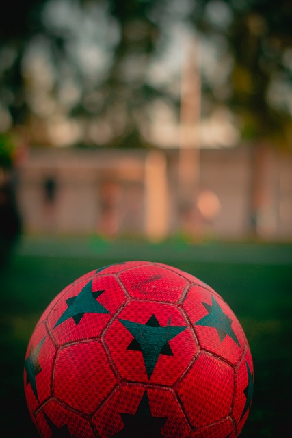 观众可以根 观众可以根