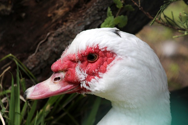 界一项重要 界一项重要