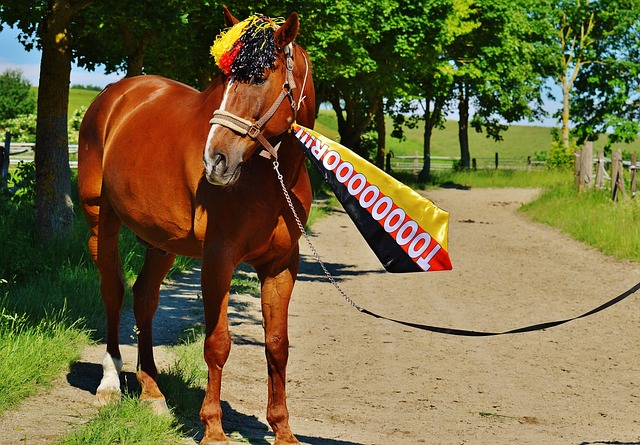 仅增强了他 仅增强了他