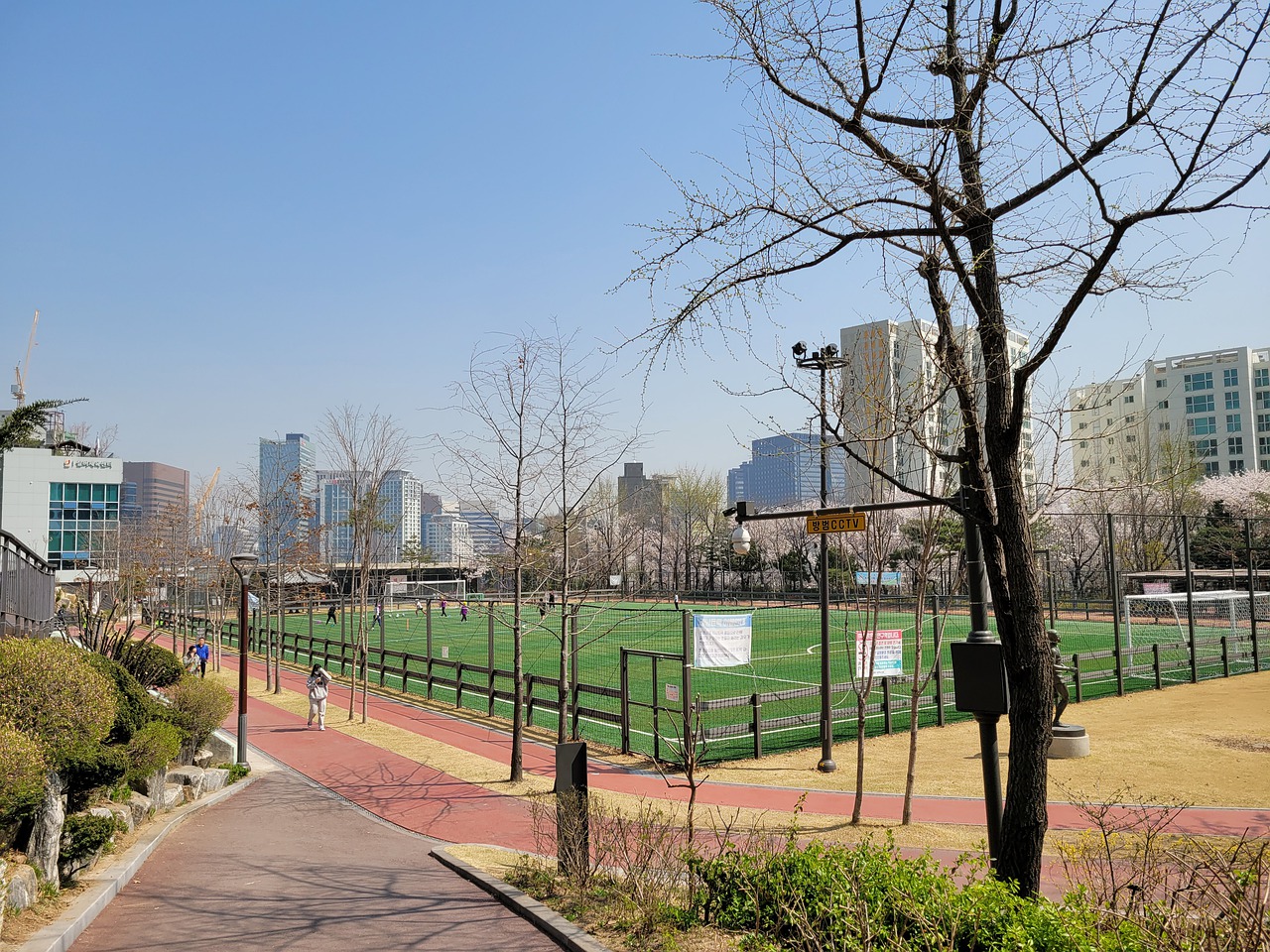 竞争力确实 竞争力确实